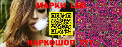 дмт Дубна