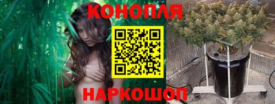 индика Гусь-Хрустальный