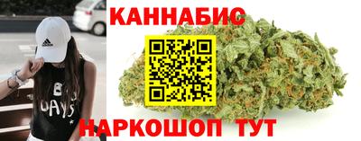 индика Гусь-Хрустальный